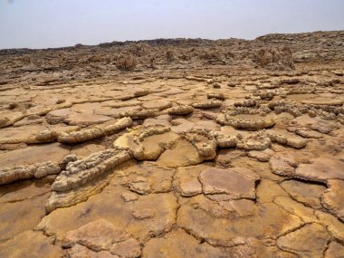 Danakil depresyonunda birçok yüksek kaya oluşumu ortaya çıkar. Etiyopya