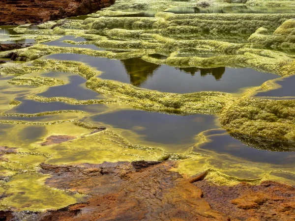 La depresión de Danakil muere de colores increíblemente brillantes que hacen cristales de sal. Etiopía — Foto de Stock