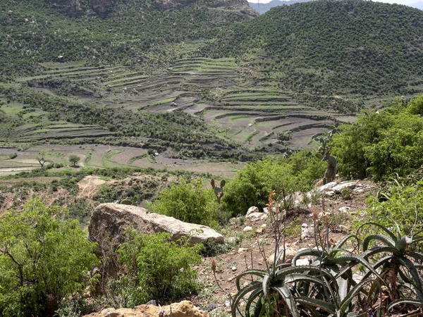 Terres agricoles cultivées dans un paysage montagneux, Ethiopie — Photo