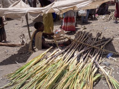 Mekele, Etiyopya, 30 Nisan. 2019, Boy sarılmış fındık satıyor, 30 Nisan. 2019, Mekele, Etiyopya