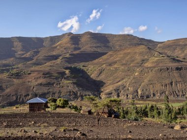 Ekili teraslı alanlar, Etiyopya