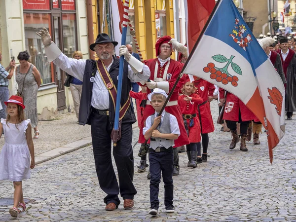 Jihlava Tsjechische Republiek 22 juni. 2019, de mijnbouw Parade, 22 juni. 20 th, Jihlava, Tsjechië — Stockfoto