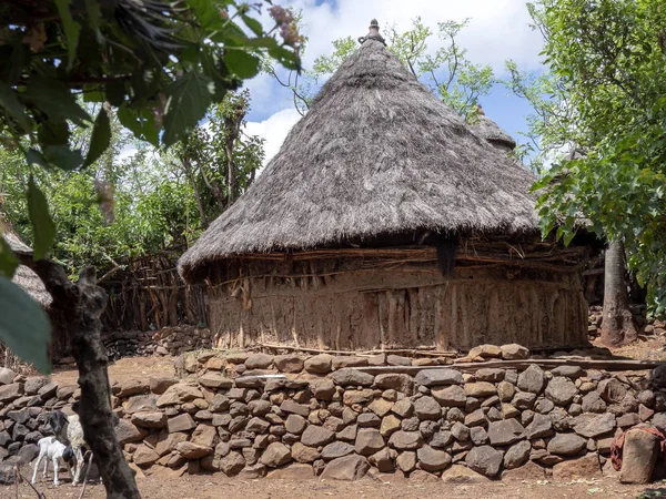 Tradiční vesnice Konso, seznam světového kulturního dědictví UNESCO, Etiopie — Stock fotografie