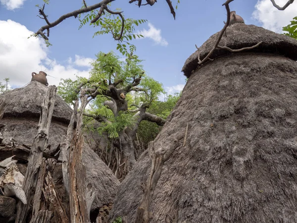 Village traditionnel de Konso, site du patrimoine mondial de l'UNESCO, Éthiopie — Photo