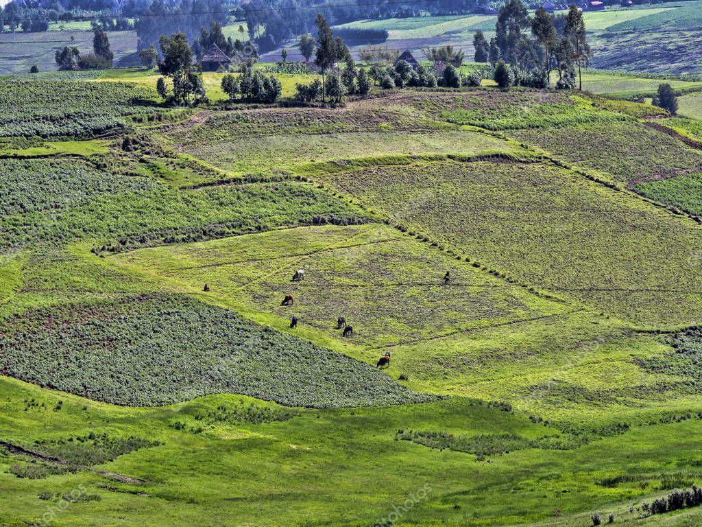 jirousek.zoo-foto.cz