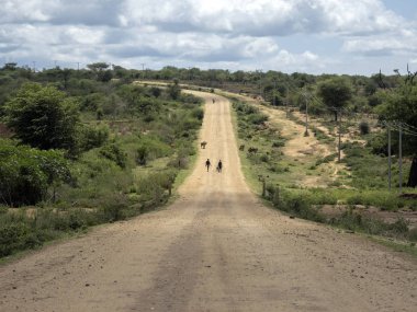 Güney Etiyopya'da haddeleme kırsal Tozlu yol