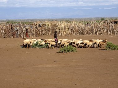 Omo Nehri, Etiyopya, 11 Mayıs. 2019, Dassanech kabilesinin çocuğunun portresi, 11 Mayıs. 2019 Omo nehri, Etiyopya flört