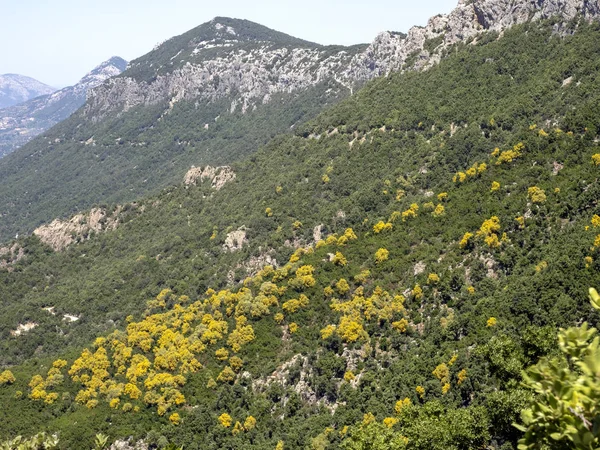 Paisaje de montaña sobre Grotte del Bue Marino, Cerdeña —  Fotos de Stock