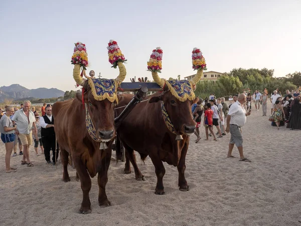Барі Sardo Sardinien, Італія Липень 13 2018 традиційний для святкування Fiesta Сан-ді-Джованні Баттіста, 13 липня, 2012, барі Sardo, Сардинія, Італія — стокове фото