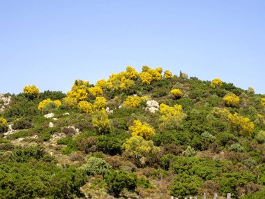 Passo Genna Silana'daki dağ manzarası, Sardunya, İtalya