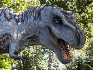 Modeller Tyrannosaurus rex Jurassic parklarda popüler