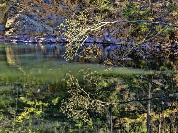 Árvores Rochas São Refletidas Superfície Água Calma — Fotografia de Stock
