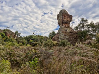 Brezilya, Ponta Grossa şehrindeki Vila Velha Eyalet Parkı benzersiz ıslık teçhizatlarıyla ünlüdür..
