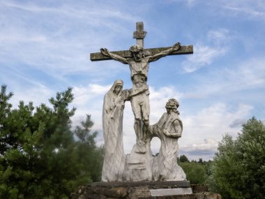 İki sokak köpeği yemek için yalvarıyor. Karadağ