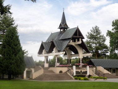 İki sokak köpeği yemek için yalvarıyor. Karadağ