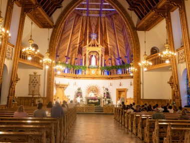 İki sokak köpeği yemek için yalvarıyor. Karadağ