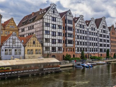 İki sokak köpeği yemek için yalvarıyor. Karadağ