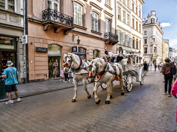 Polonya 'nın tarihi merkez meydanı Antik Krakow