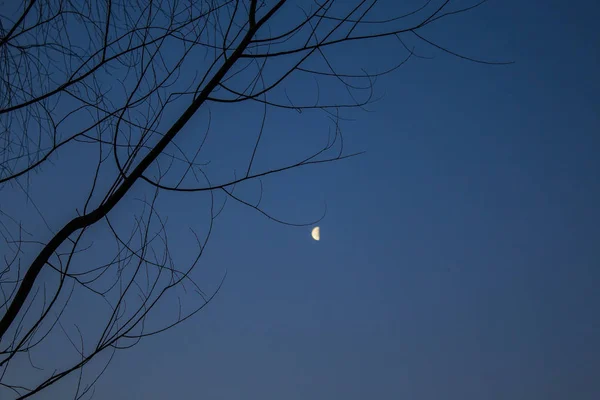 La lune. Contexte . — Photo