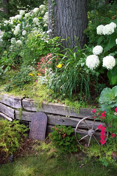 A sweet, peaceful English garden landscape.  Featuring a wooden fence, a stone and lots of plants.