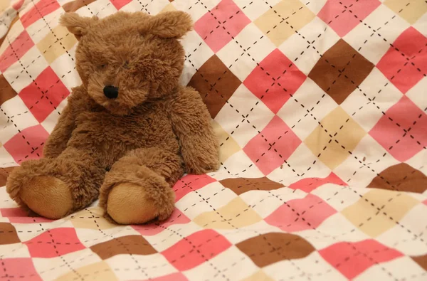 A fuzzy little teddy bear sitting on an argyle blanket.