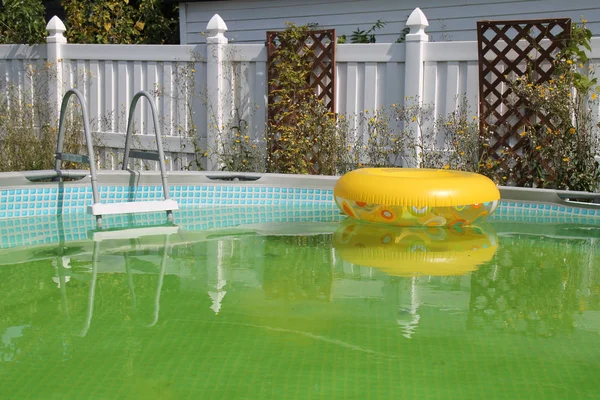 An abandoned dirty, swimming pool in a private backyard.