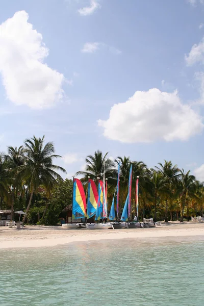 Yelkenli bir tropikal tatil ile pitoresk bir kıyı.