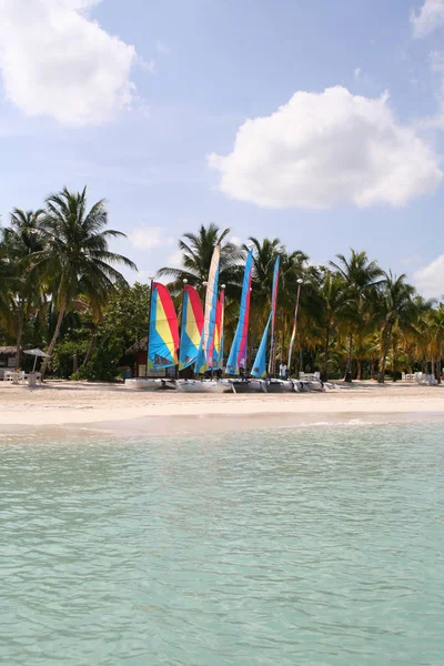Okyanus manzaralı renkli kumlu kıyısındaki renkli Yelkenli ve koltuklar ile.  
