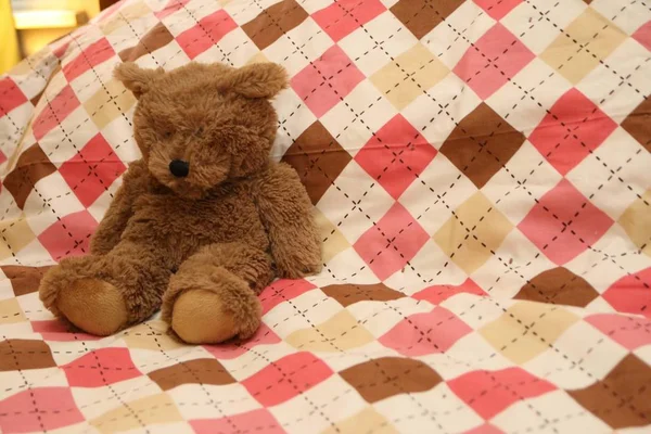 Bir argyle battaniye üzerinde oturan bir bulanık küçük kahverengi oyuncak ayı.
