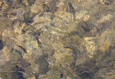 Nehir akışı, su dağ silsilesi içinde hareket. Nehir alt.