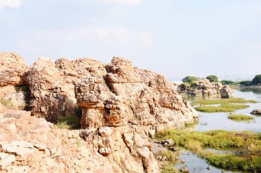 Hill ve göl