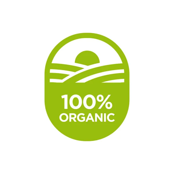 100 Orgánica Comida Saludable Vida Saludable Icono — Vector de stock