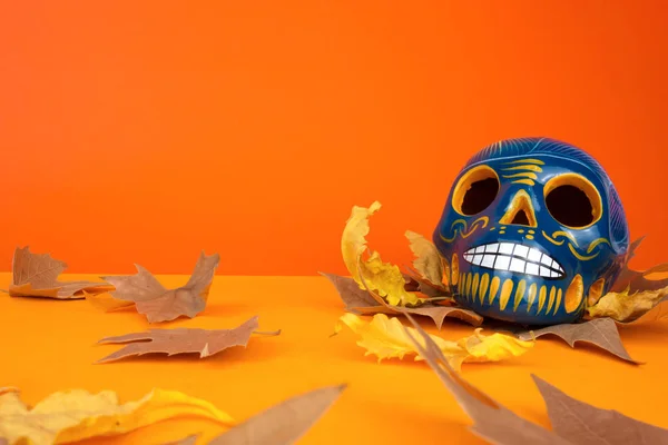 Creatieve Minimale Dag Van Doden Halloween Lay Out Schedel Droge — Stockfoto