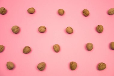 Yaratıcı ve minimal sonbahar desen fındık yaptı. Pembe bir arka plan. Düz yatıyordu üstten görünüm.