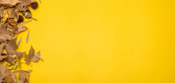 Diseño Creativo Otoño Hojas Secas Sobre Fondo Amarillo Arreglo Fronterizo — Foto de Stock