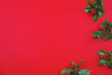 Yaratıcı Noel düzeni. Ökseotu kırmızı arka plan beyaz kopya alanı üzerinde. Kenarlık düzenleme. Düz yatıyordu üstten görünüm.