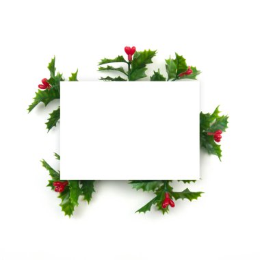 Yaratıcı Noel düzeni. Beyaz arka plan beyaz kopya alanı üzerinde ökse otu. Düz yatıyordu üstten görünüm.