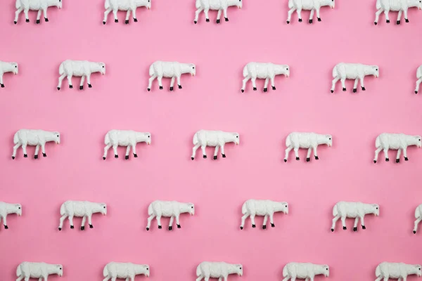 由绵羊制成的创造性和最小的图案 背景为粉红色 平面平面顶部视图 — 图库照片