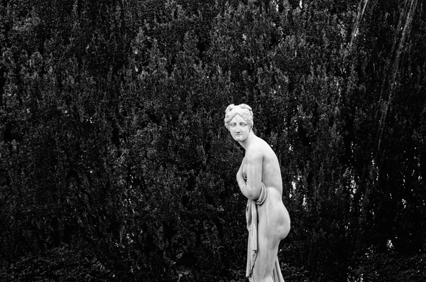 Primo Piano Bianco Nero Una Statua Femminile Nel Giardino Parco — Foto Stock