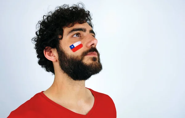 스포츠 나라의 애국가를 자부심을 느낀다 얼굴에 메이크업의 국기와 티셔츠를 — 스톡 사진