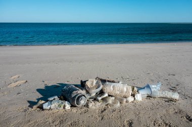 Okyanus çöplerinden yapılmış plaj kumu üzerinde yatan balık şekli. Plastik kirlilik kavramı.
