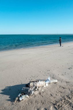 Okyanus çöplerinden yapılmış plaj kumu üzerinde yatan balık şekli. Plastik kirlilik kavramı.