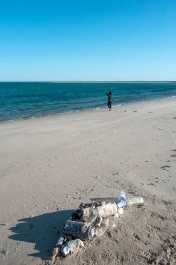 Okyanus çöplerinden yapılmış plaj kumu üzerinde yatan balık şekli. Plastik kirlilik kavramı.