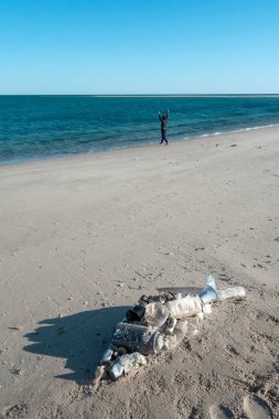 Okyanus çöplerinden yapılmış plaj kumu üzerinde yatan balık şekli. Plastik kirlilik kavramı.