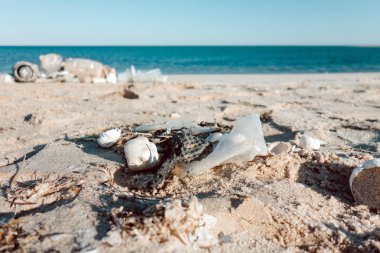 Plastik kirliliği ve plajda çöpler Okyanuslar kavramının plastik kirliliği.