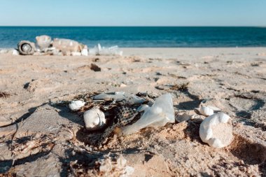 Plastik kirliliği ve plajda çöpler Okyanuslar kavramının plastik kirliliği.