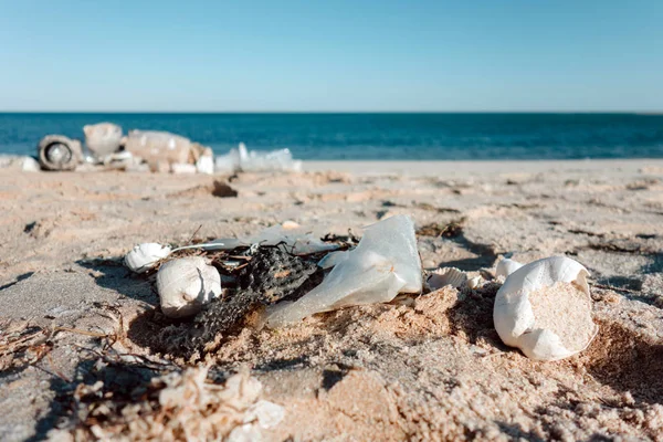 Plastik kirliliği ve plajda çöpler Okyanuslar kavramının plastik kirliliği.