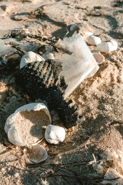 塑料污染与海滩垃圾 塑料污染海洋概念 — 图库照片