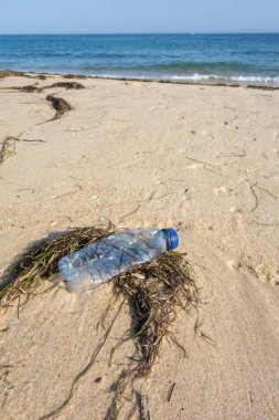 Sahilde ki kumda yosun arasında plastik şişe. Okyanuslar kavramının plastik kirliliği.