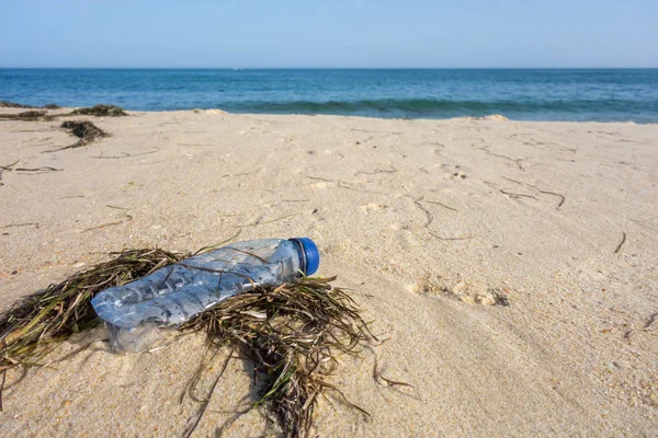 Botella Plástico Entre Algas Arena Playa Contaminación Plástica Del Concepto — Foto de Stock